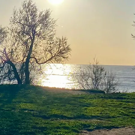 Holiday home Casavela - Terme E Mare Con Giardino Venturina Terme
